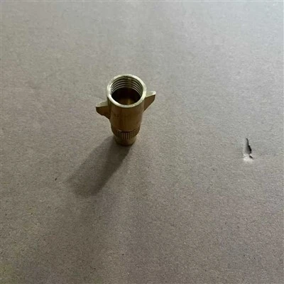 2L Sprayer Nozzle